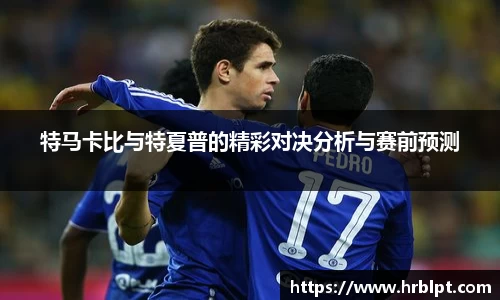 特马卡比与特夏普的精彩对决分析与赛前预测