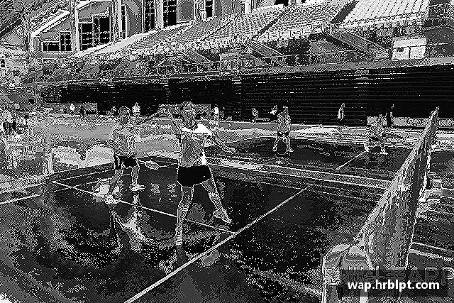 发现完美体育.wm